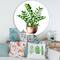 Designart - Zamioculcas Tropical Plant With Green Leaves - Traditional Metal Circle Wall Art